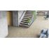 Линолеум Tarkett Sorbona 5 Force | Сорбона 5 Форс